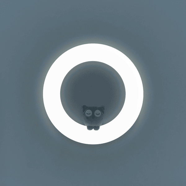 ZAZU Luz De Pared - Imagen 4